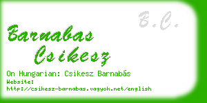barnabas csikesz business card